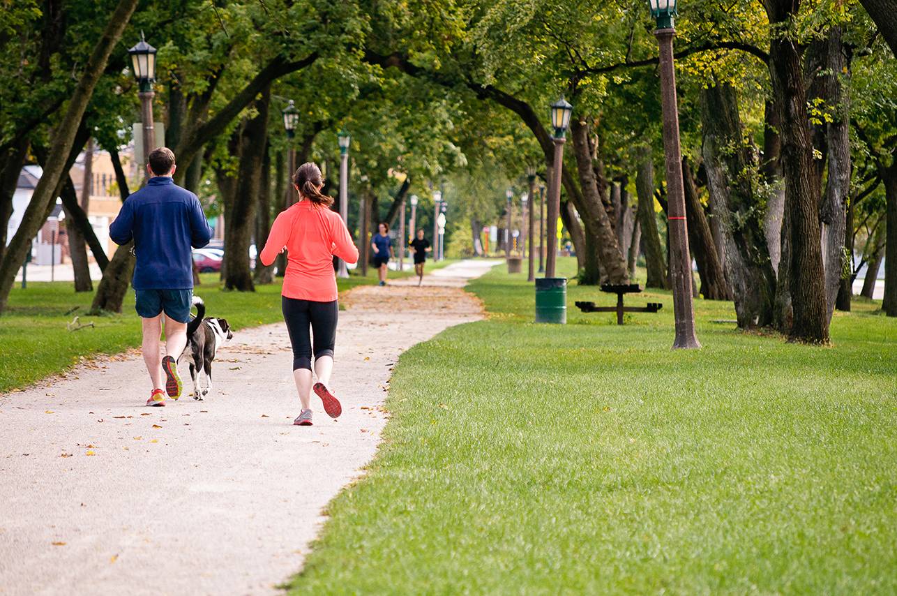 a man and a woman are running in a park with a dog
